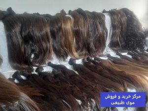 خریدار موی طبیعی تهران